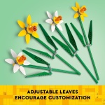 Daffodils - Image 5