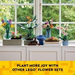 Daffodils - Image 6