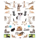 Eyelike Stickers: Kittens - Image 2