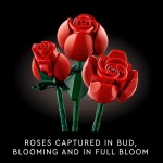 Icons Bouquet of Roses - Image 4