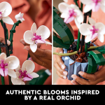 Icons Orchid - Image 3