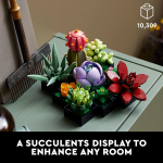 Icons Succulents - Image 2