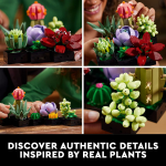Icons Succulents - Image 4