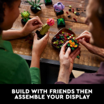Icons Succulents - Image 5