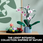 Icons Succulents - Image 6