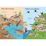 Little First Stickers Seashore - Image 4