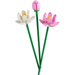 Lotus Flowers - Image 2