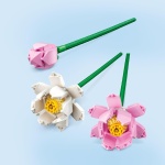 Lotus Flowers - Image 4