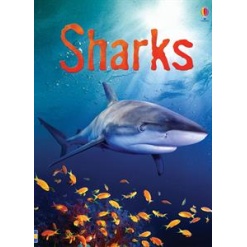 Sharks (Usborne Beginners)-by-Usborne