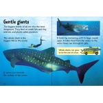 Sharks (Usborne Beginners) - Image 5