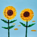 Sunflowers - Image 4