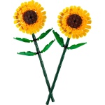 Sunflowers - Image 6