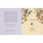 The Wheel of the Year: An Illustrated Guide to Nature's Rhythms - Image 3