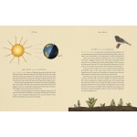 The Wheel of the Year: An Illustrated Guide to Nature's Rhythms - Image 4