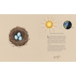 The Wheel of the Year: An Illustrated Guide to Nature's Rhythms - Image 5