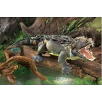 American Alligator Puppet - Image 2