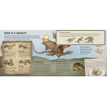 A Natural History of Dragons (Folklore Field Guides) - Image 4