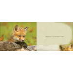 Cutest Critter - Image 2