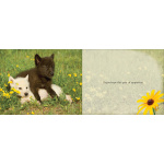 Cutest Critter - Image 3