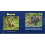 Forest Mamas & Babies - Image 2
