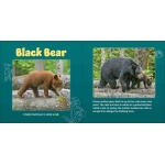 Forest Mamas & Babies - Image 3