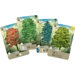 Forest Shuffle - Image 3