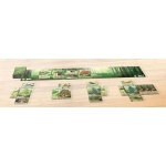 Forest Shuffle - Image 5