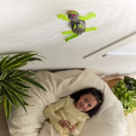 Hex Bot Wallcrawler Gecko - Image 7