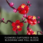 Icons Plum Blossom Flower Décor - Image 4