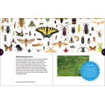 Insects & Bugs Backyard Workbook - Image 2