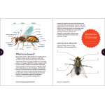 Insects & Bugs Backyard Workbook - Image 3