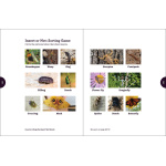 Insects & Bugs Backyard Workbook - Image 4