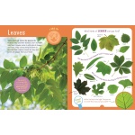 Backpack Explorer: Discovering Trees: What Will You Find? - Image 2