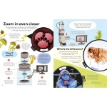 Book of the Microscope - Image 4