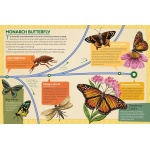 Dinosaurs to Chickens: How Evolution Works - Image 3
