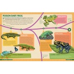 Dinosaurs to Chickens: How Evolution Works - Image 4