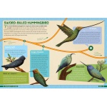 Dinosaurs to Chickens: How Evolution Works - Image 5
