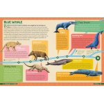 Dinosaurs to Chickens: How Evolution Works - Image 6