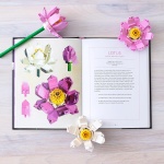 LEGO Botanical Almanac: A Field Guide to Brick-Built Blooms - Image 8