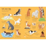 Little First Stickers Dogs and Puppies - Image 7