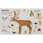 Live Like a Hunter Gatherer: Discovering the Secrets of the Stone Age - Image 4