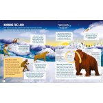 Live Like a Hunter Gatherer: Discovering the Secrets of the Stone Age - Image 5