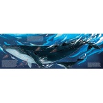 Meet the Megafauna! - Image 5