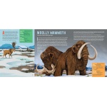 Meet the Megafauna! - Image 6