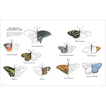 Nature Anatomy Activity Book - Image 3
