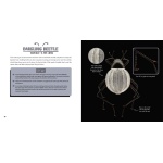 Strange Nature: The Insect Portraits of Levon Biss - Image 3