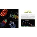 Strange Nature: The Insect Portraits of Levon Biss - Image 5