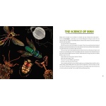 Strange Nature: The Insect Portraits of Levon Biss - Image 7