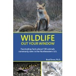 Wildlife Out Your Window-by-Northeast Wildlife Team