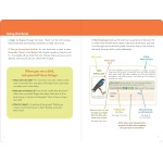 Birder's Logbook: A Seek-and-Sticker Book for Budding Ornithologists - Image 3